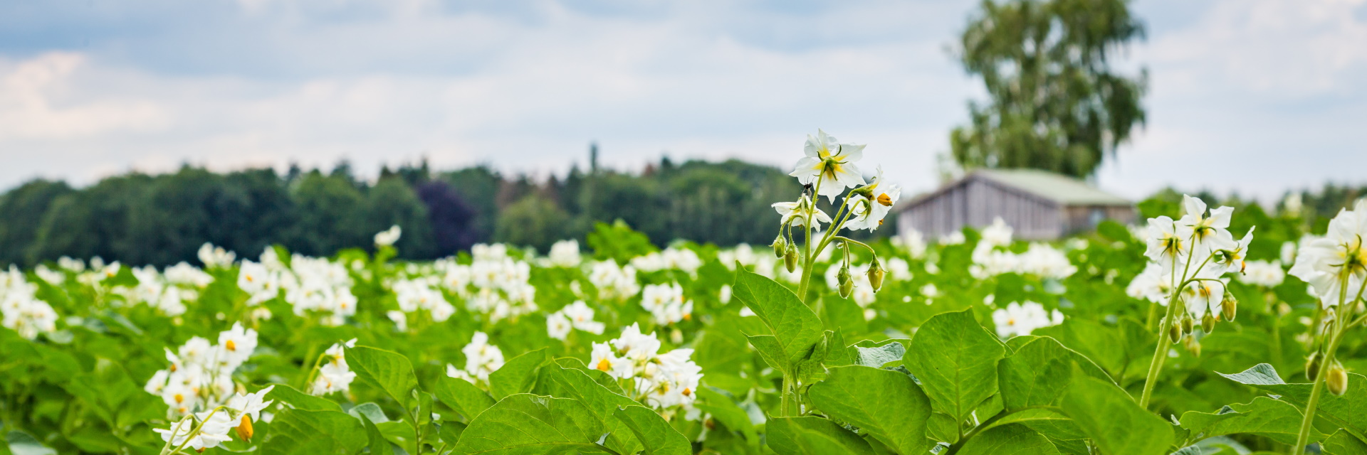 UNE AGRICULTURE RAISONNÉE ET DURABLE