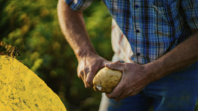 Un succès durable commence par une conduite éthique